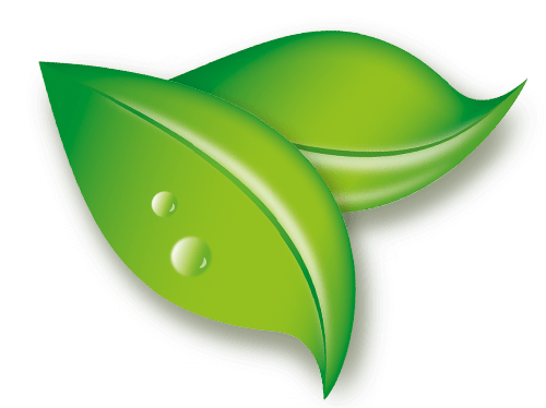 Naturel — jednostavno, svaki dan. Foote weba